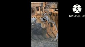 Мы с тобою в этом море...