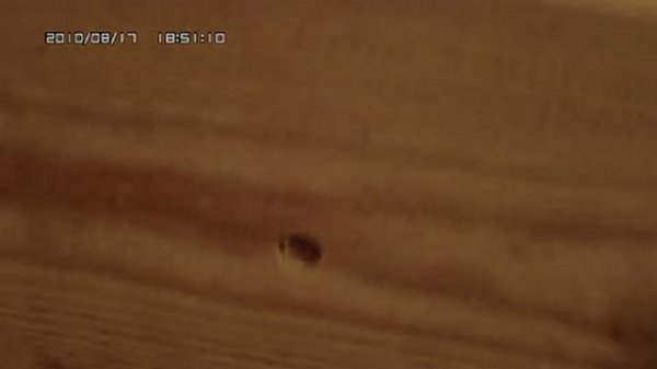 Streamer 2014 и доска 2 см