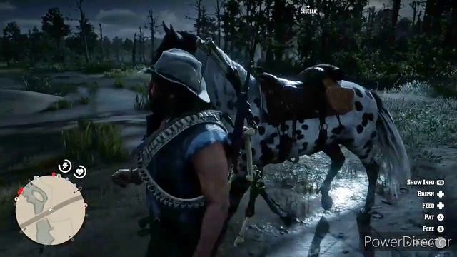 Appaloosa Horse Review in Red Dead Online. Leopard Coat. смотреть онлайн