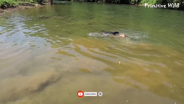 Fishing Wild: Top Skills Fishing Excellent In River - Catch A Lot Of Fish смотреть онлайн