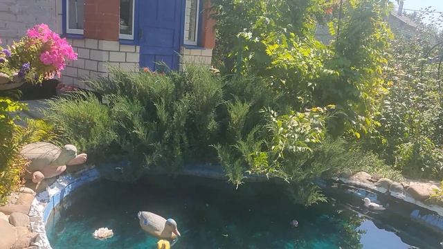 Эх Разгуляй ,калины куст ) смотреть онлайн