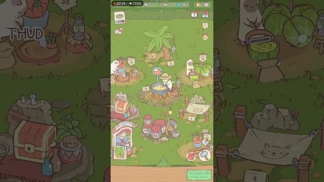 кошки и суп