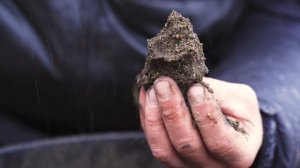 Зачем и как красить прикормку?