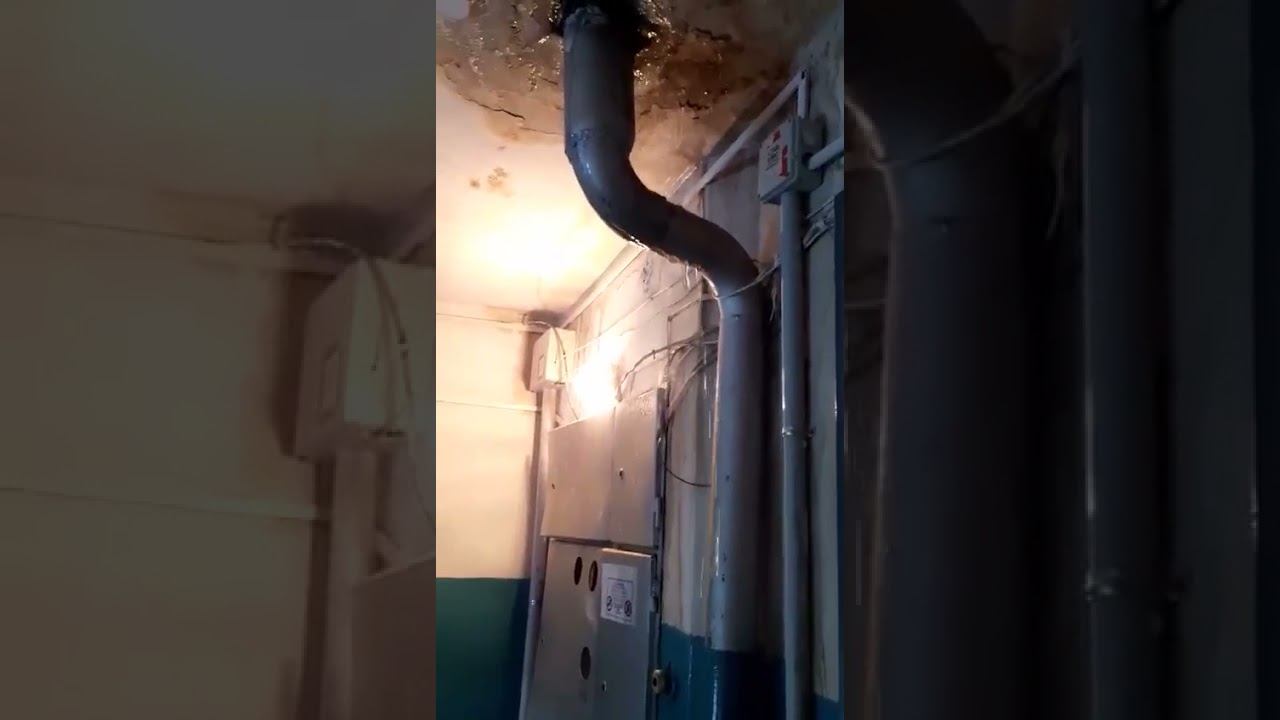 Ухта Интернациональная смотреть онлайн
