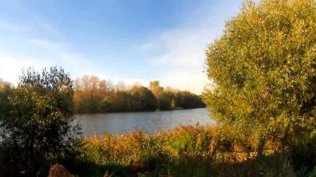 Осень 2021. Река Купавинка (Видеозарисовка) смотреть онлайн
