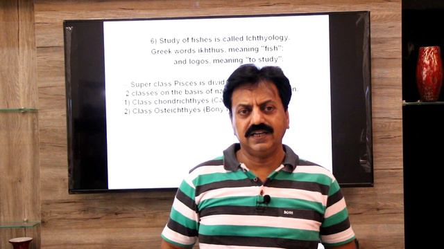 First Year / Chapter 10 / Kingdom Animalia / Part 14 / Phylum Chordata (Part 3) / Gnathostomata смотреть онлайн