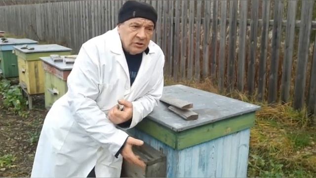 Защита от синичек. смотреть онлайн