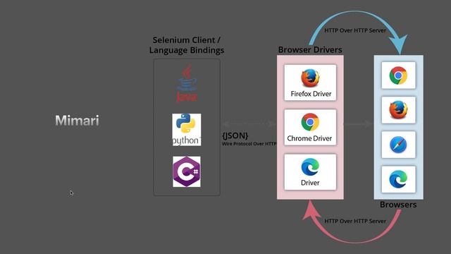 Selenium Giriş - 1 смотреть онлайн