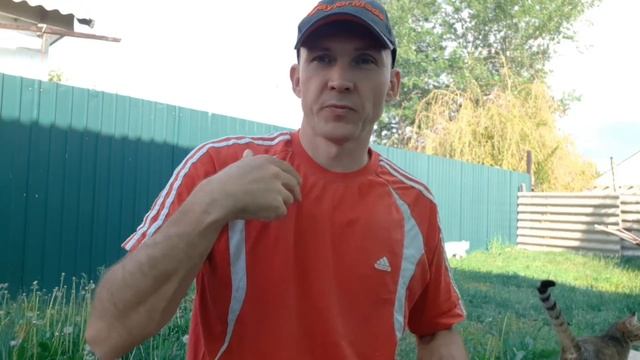 Временный забор шифер. Глухих новости. Deaf News.