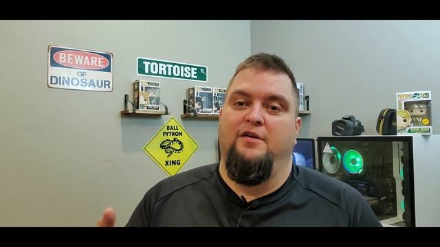 5 Amazing Ball Python Combos With The Controversial Spider Morph! смотреть онлайн