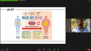 Флагманы: экстра, стоун, мобио, бленд и митохондриальное здоровье. Андрей Федорович Тарасевич