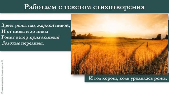 Тема 23. А. А. Фет. «Зреет рожь над жаркой нивой» смотреть онлайн