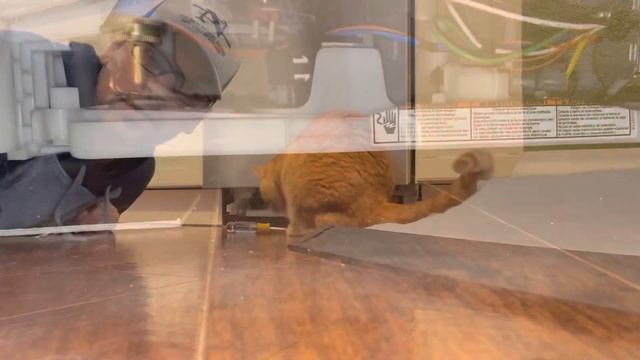 Whirlpool Dishwasher Code F8E4 - Drip Tray Leak смотреть онлайн