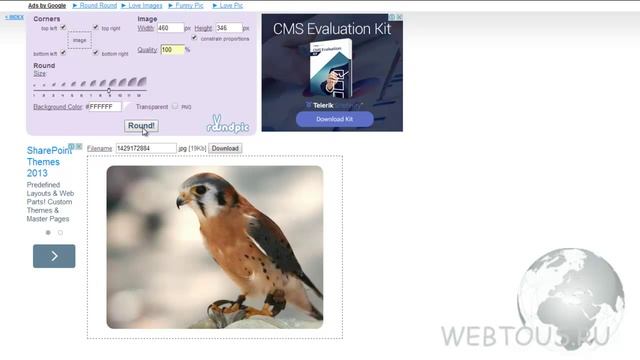 Как сделать скругленные углы у фото или картинки смотреть онлайн