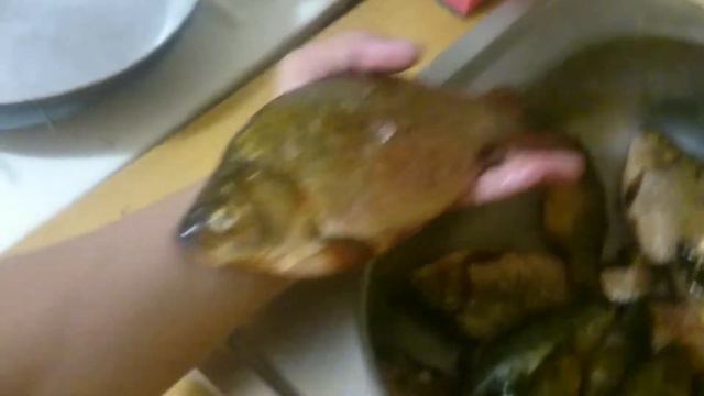 Рыбалка на Оби. смотреть онлайн