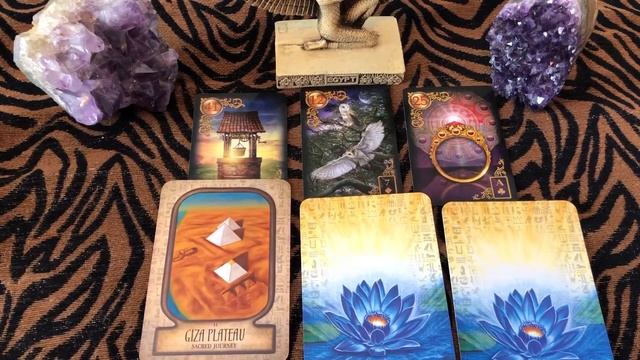 DREAMS DO COME TRUE! Oracle & Lenormand card reading Sapphire Moonbeam смотреть онлайн