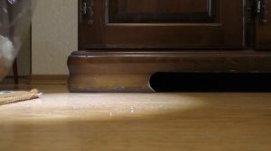 Разбился градусник, как и чем собрать ртуть