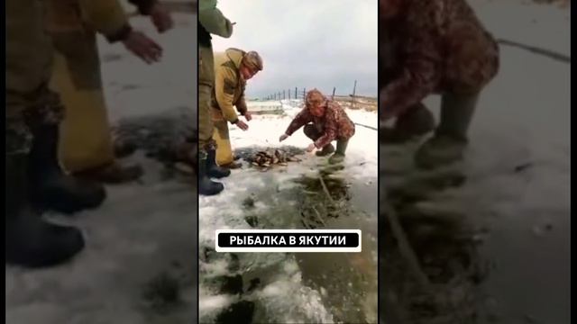 Рыбалка в Якутии. #якутия #russia #хочуврек #охота #рыбалка #тайга #рекалена #карась #собо смотреть онлайн