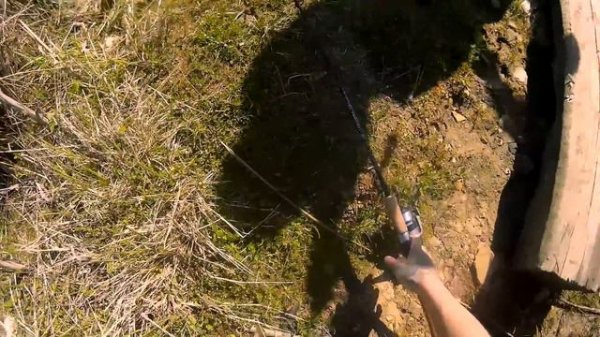 Bait Breath Needle Червь ( Отзыв )