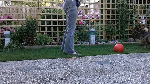 Kari Treibbal 6-7-2011