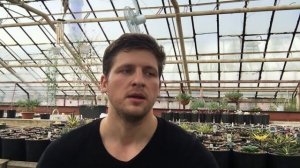 Алоэ, Гастерия, Хавортия - кто есть кто