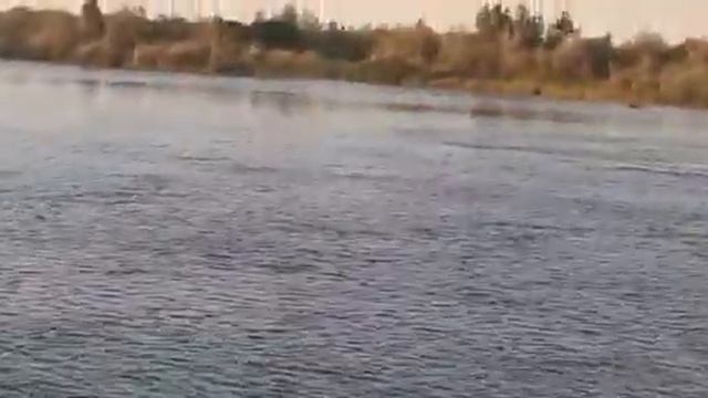 Вечерняя рыбалка на Или лето 2020 год смотреть онлайн