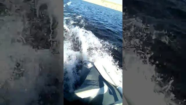 Лодка гладиатор 300AL под мотором 10л.с. смотреть онлайн