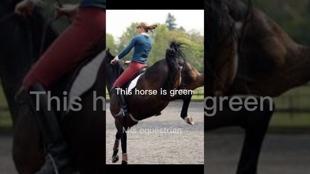 Let’s confuse the non-equestrian смотреть онлайн