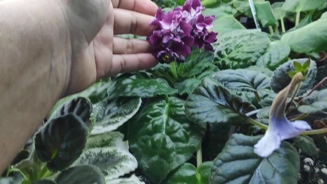 Стеллажи в мае. Почтовый сезон открыт! смотреть онлайн