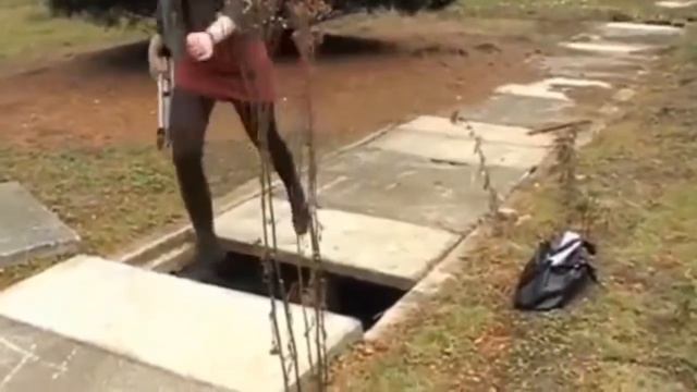 Смешное видео от Кролика Роджера XD смотреть онлайн