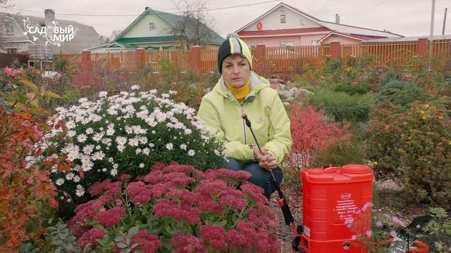 Чем опрыскивать сад перед зимой смотреть онлайн