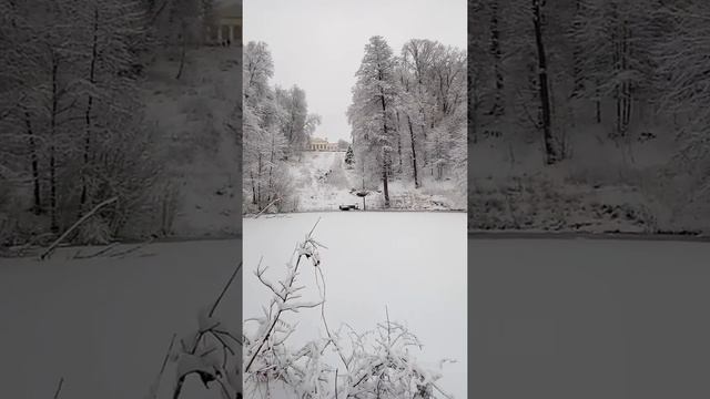 На даче у Ленина(Ульянова Владимира Ильича) Лес. Снег. смотреть онлайн