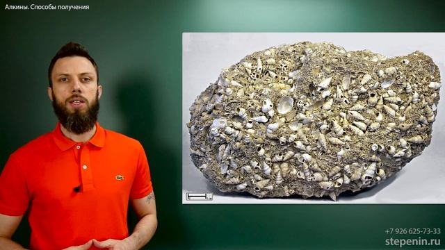 3.2. Алкины: Способы получения смотреть онлайн