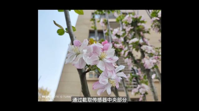Redmi Note 12 Turbo(Poco F5) Camera test I 4K Video I Pictures Photo samples I Day I Night Low ligh смотреть онлайн