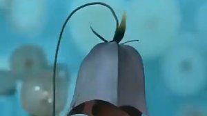 Незнайка за рулём Часть 1