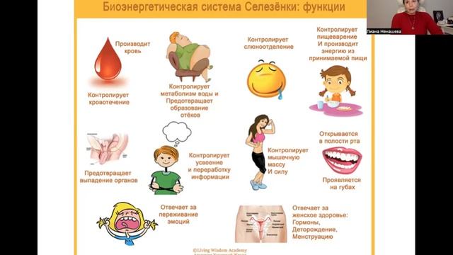 Тонкое тело системы пищеварения. Часть 1. смотреть онлайн
