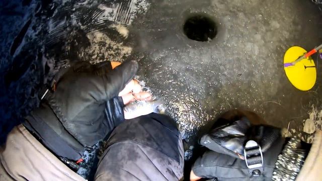 Наловил СУДАКА на ЖЕРЛИЦЫ перед СНЕГОПАДОМ. Зимняя рыбалка на жерлицы смотреть онлайн