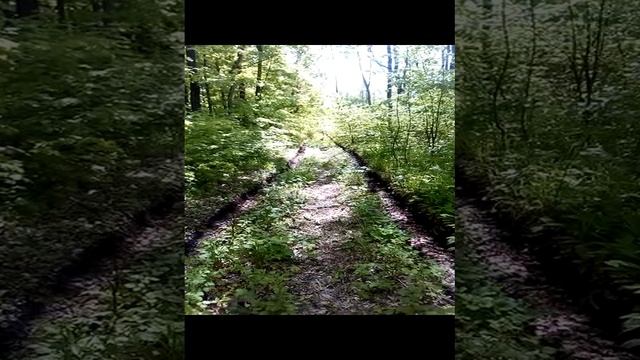 VID_20230513_101308 смотреть онлайн