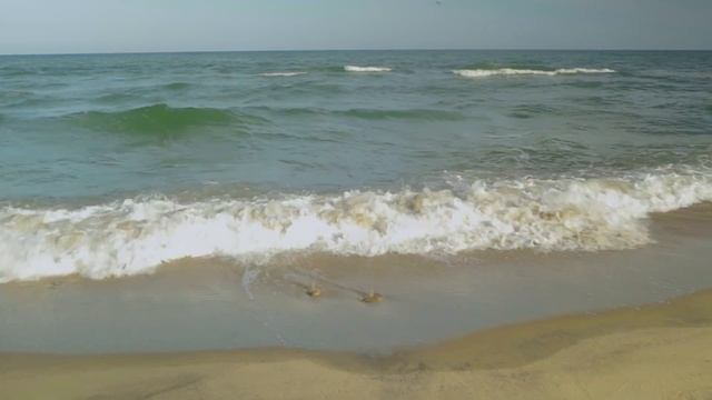 Медитация, духовная практика по возвращению силы рода часть 2 смотреть онлайн