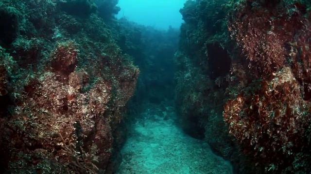 Линейная и тональная перспективы под водой смотреть онлайн