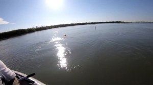 Сом на живца, Рыбалка на сома. CATFISH!!!!