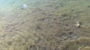 Система хука. Испытание с результатом!