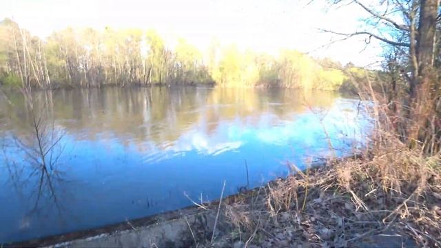 Заброшенный пионерлагерь им. Ю.А.Гагарина смотреть онлайн