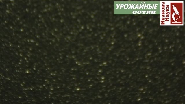 Результаты ТЕСТА вас удивят: 10 материалов для изготовления медицинской маски в домашних условиях. смотреть онлайн