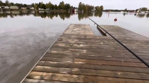 Дропшот и джиг. Судак. Окунь.