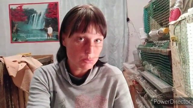 крик души❗подарить или продать❗цены❗ себестоимость куриных яиц❗ смотреть онлайн