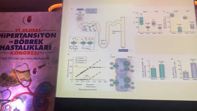 SGLT-2 inhibitörleri diyabet tedavi ederken böbreği koruyor mu? Prof. Dr. Sim Kutlay. смотреть онлайн