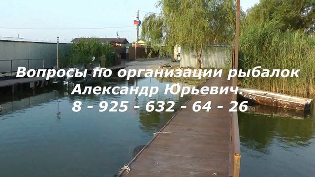 Трофейные судаки, сомы и щуки от Александра! Дом рыбака приглашает! смотреть онлайн