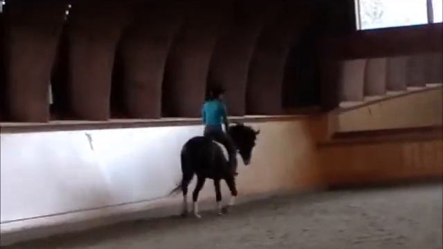 Fhortune Cookie- first lesson with Scott 1/17/12 смотреть онлайн