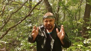 Как защититься от дикого кабана в лесу